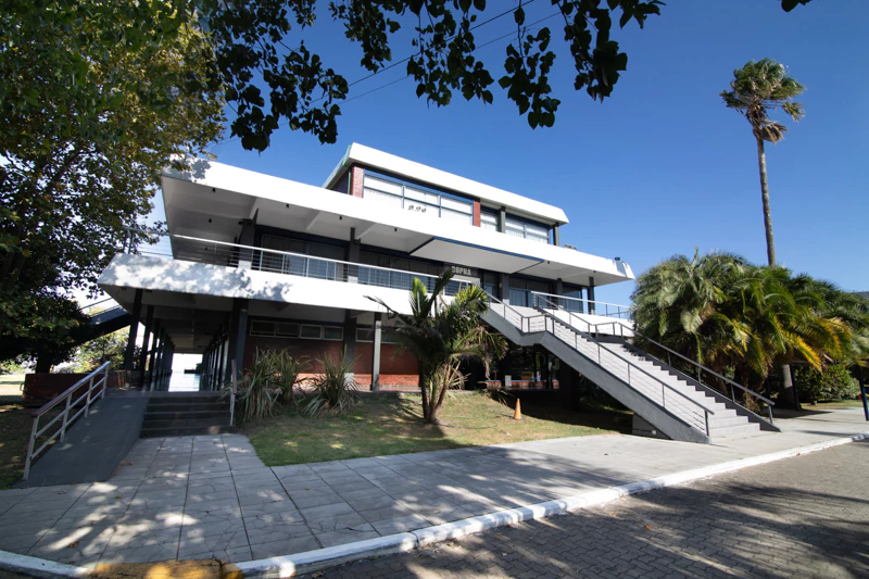 Jano’s Olivos